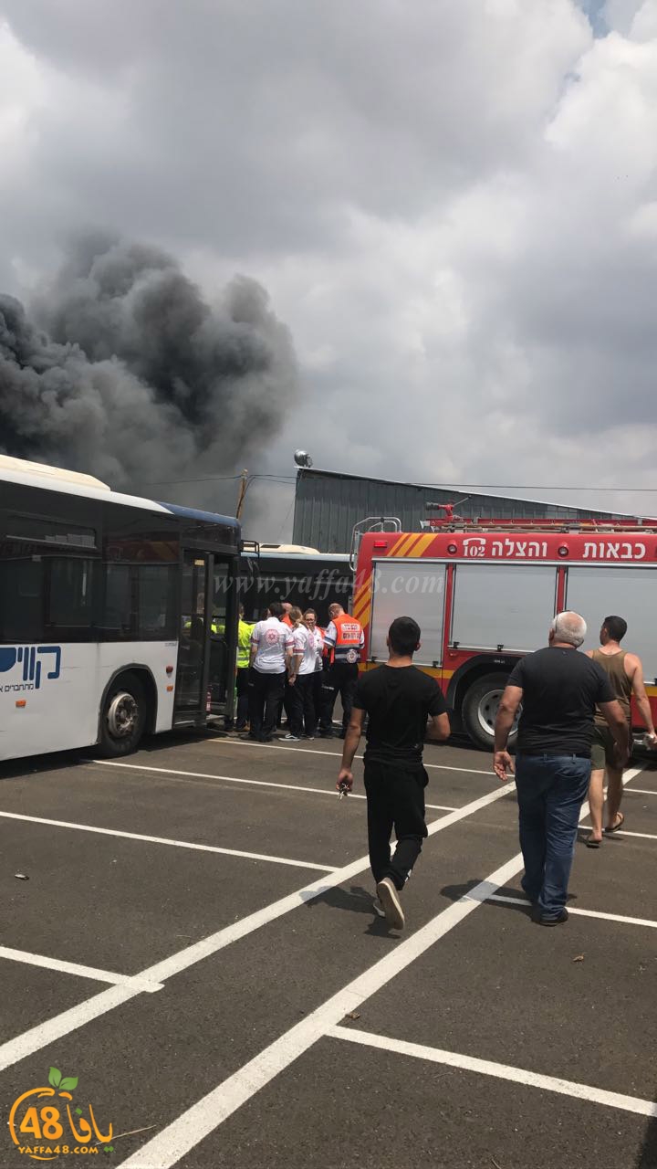 firbus eastyaffa (20).jpg